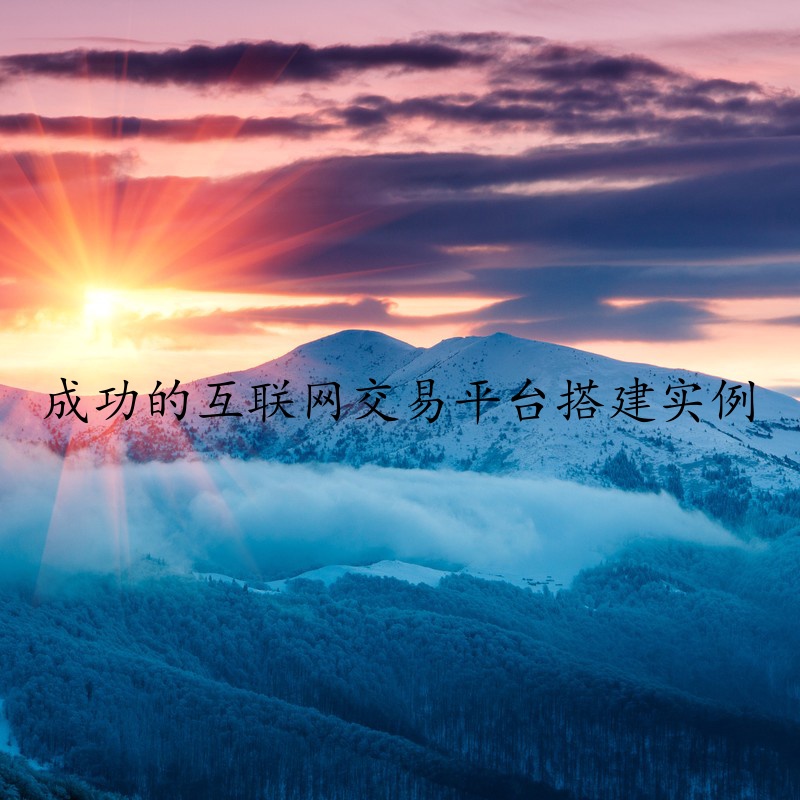 成功的互联网交易平台搭建实例