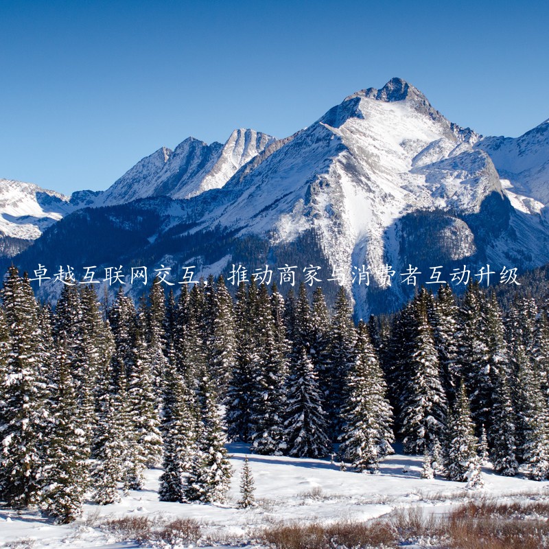卓越互联网交互，推动商家与消费者互动升级