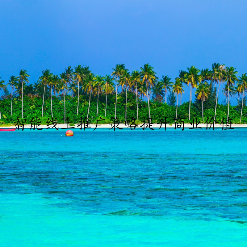 智能线上推广策略提升商业价值