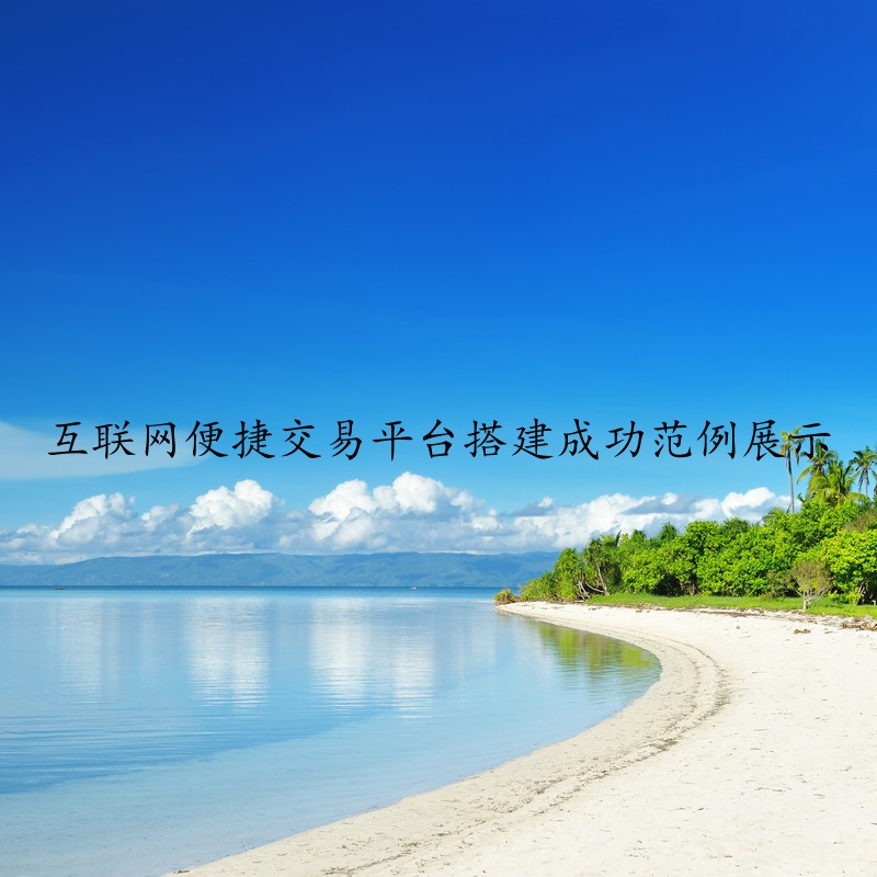 互联网便捷交易平台搭建成功范例展示