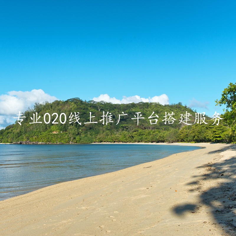 专业020线上推广平台搭建服务
