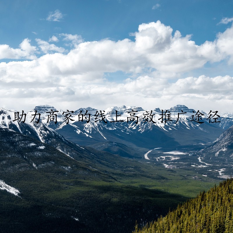 助力商家的线上高效推广途径