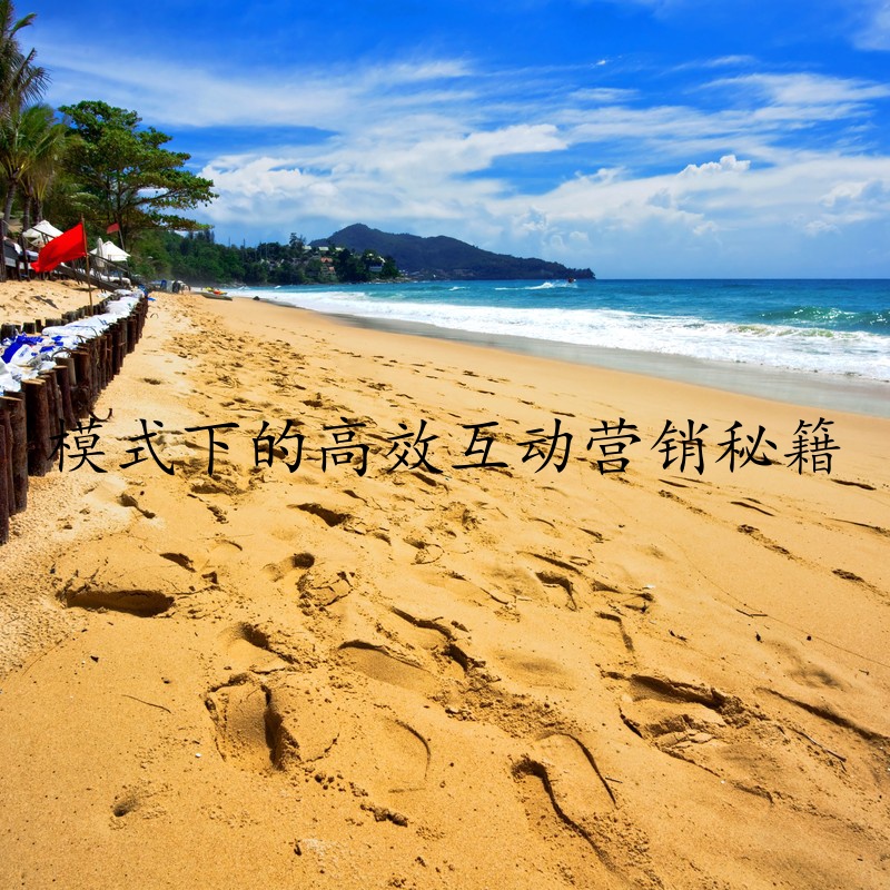 模式下的高效互动营销秘籍