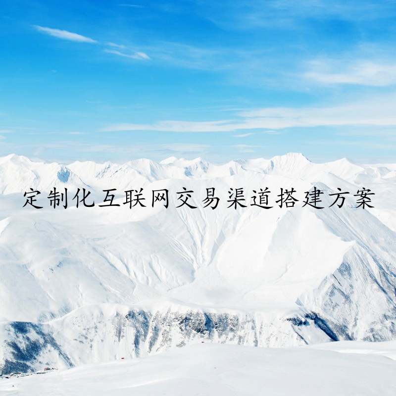 定制化互联网交易渠道搭建方案