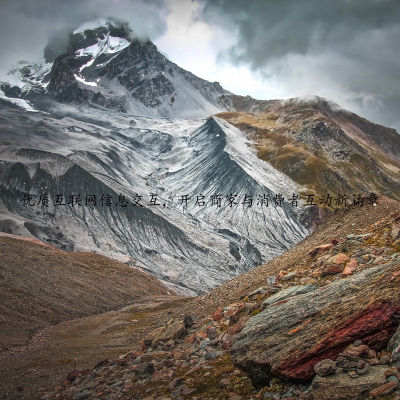 优质互联网信息交互，开启商家与消费者互动新篇章