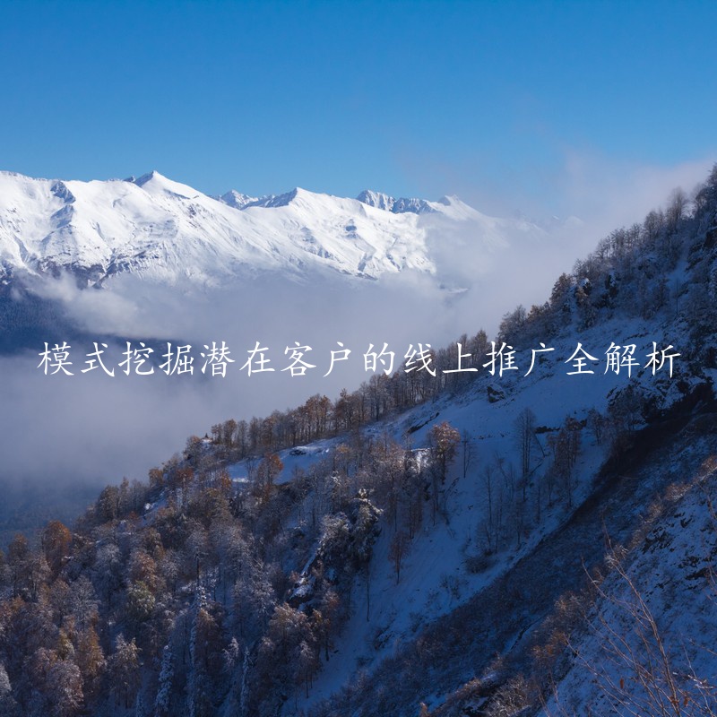 模式挖掘潜在客户的线上推广全解析