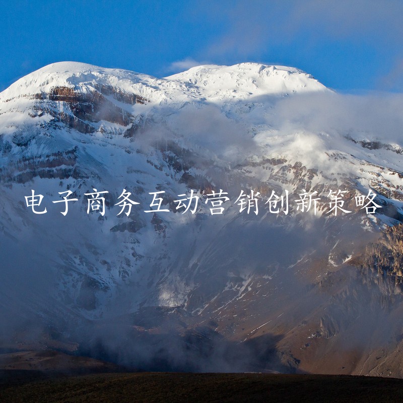 电子商务互动营销创新策略