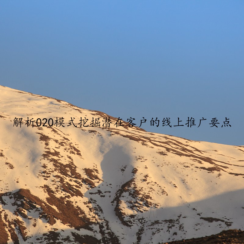 解析020模式挖掘潜在客户的线上推广要点