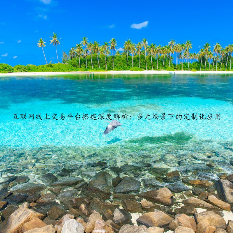 互联网线上交易平台搭建深度解析：多元场景下的定制化应用