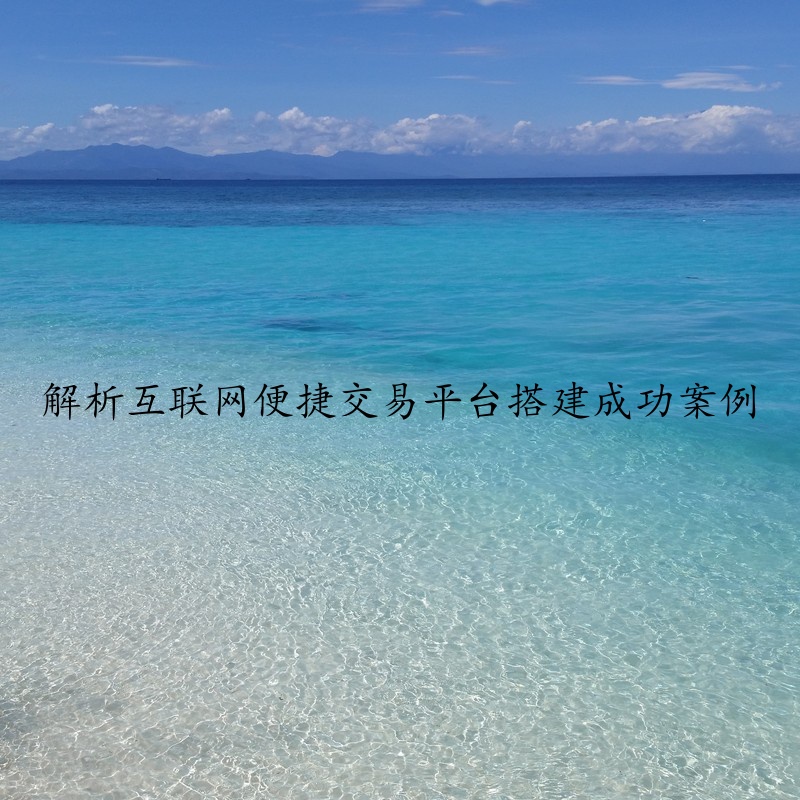 解析互联网便捷交易平台搭建成功案例