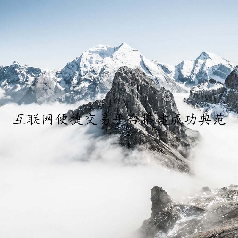 互联网便捷交易平台搭建成功典范