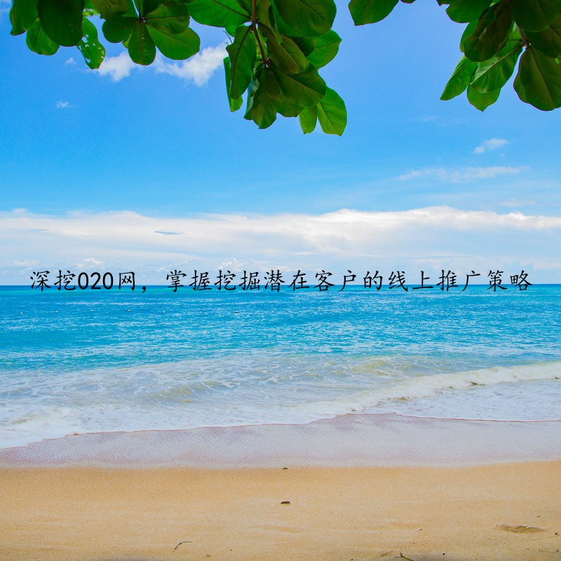 深挖020网，掌握挖掘潜在客户的线上推广策略