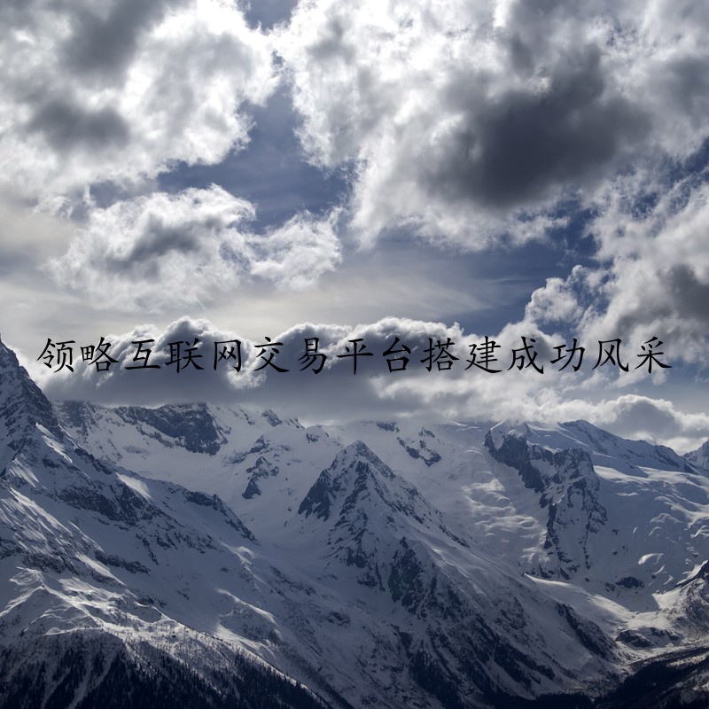 领略互联网交易平台搭建成功风采
