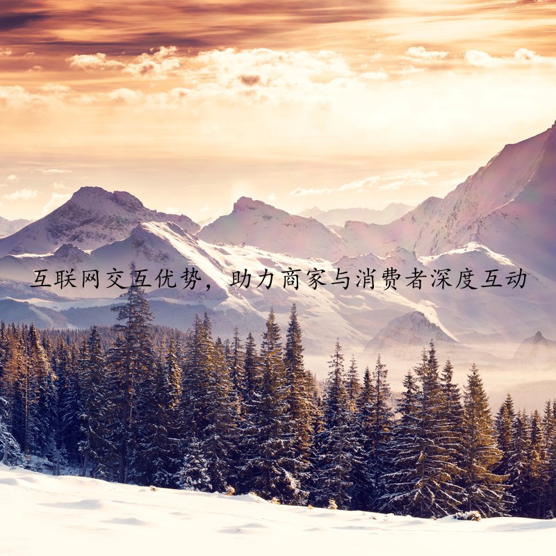 互联网交互优势，助力商家与消费者深度互动