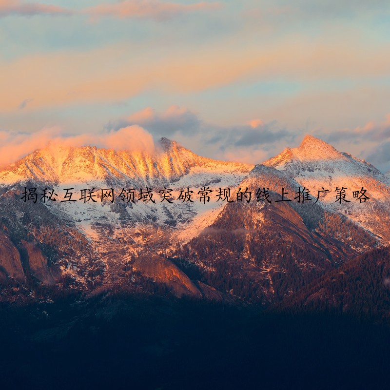 揭秘互联网领域突破常规的线上推广策略