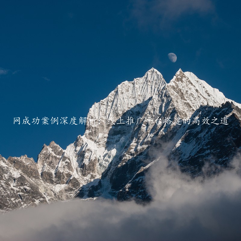 网成功案例深度解析：线上推广平台搭建的高效之道