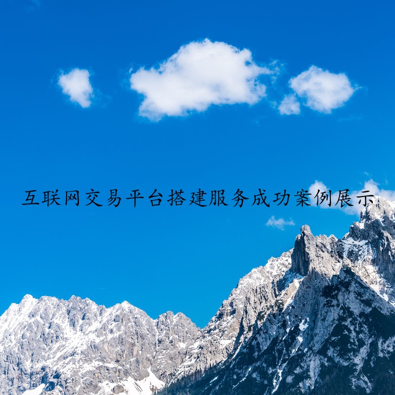 互联网交易平台搭建服务成功案例展示