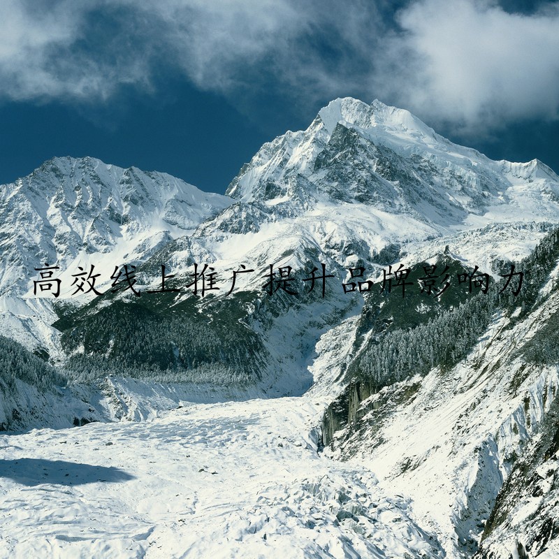 高效线上推广提升品牌影响力