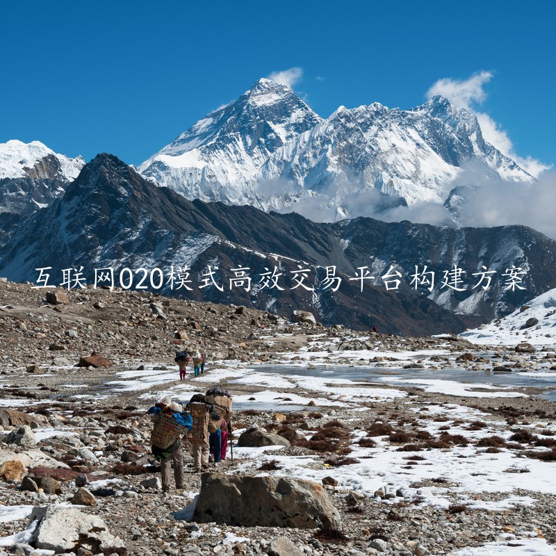 互联网020模式高效交易平台构建方案