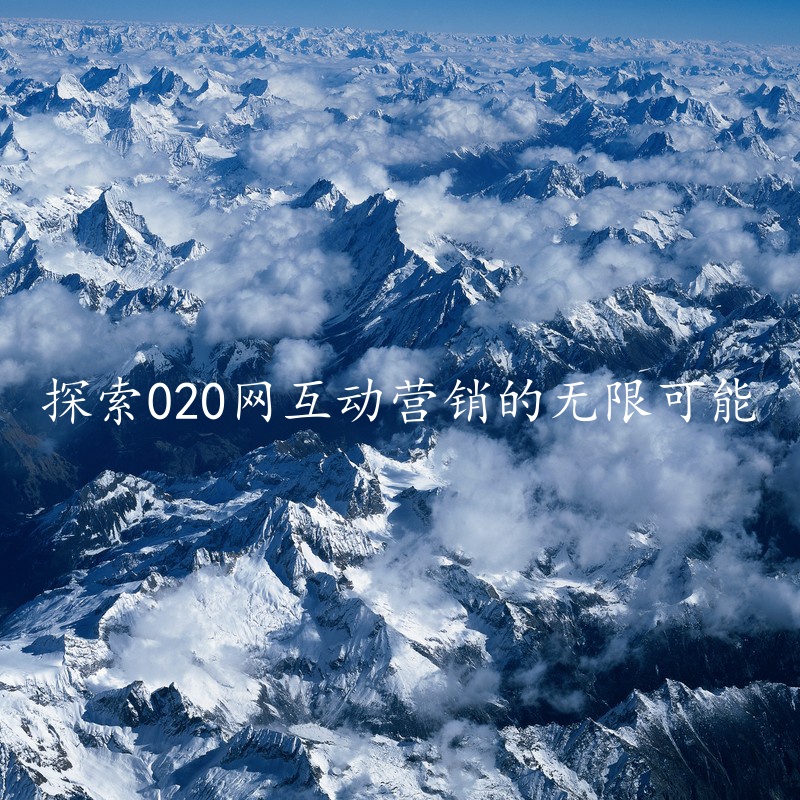 探索020网互动营销的无限可能