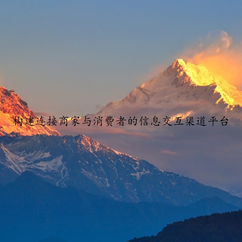 构建连接商家与消费者的信息交互渠道平台