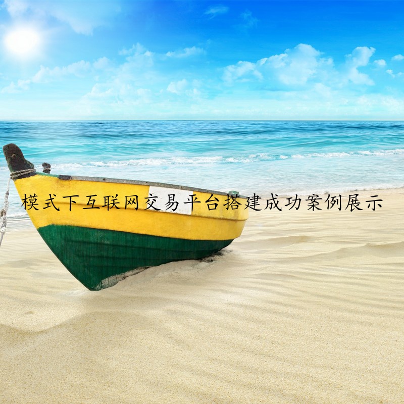 模式下互联网交易平台搭建成功案例展示