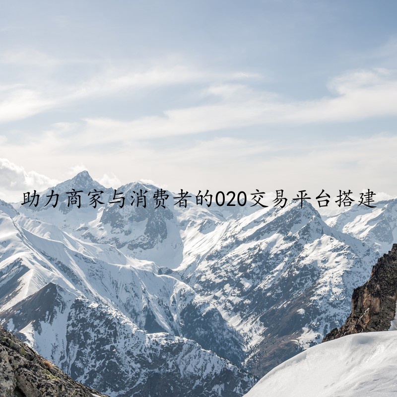 助力商家与消费者的020交易平台搭建