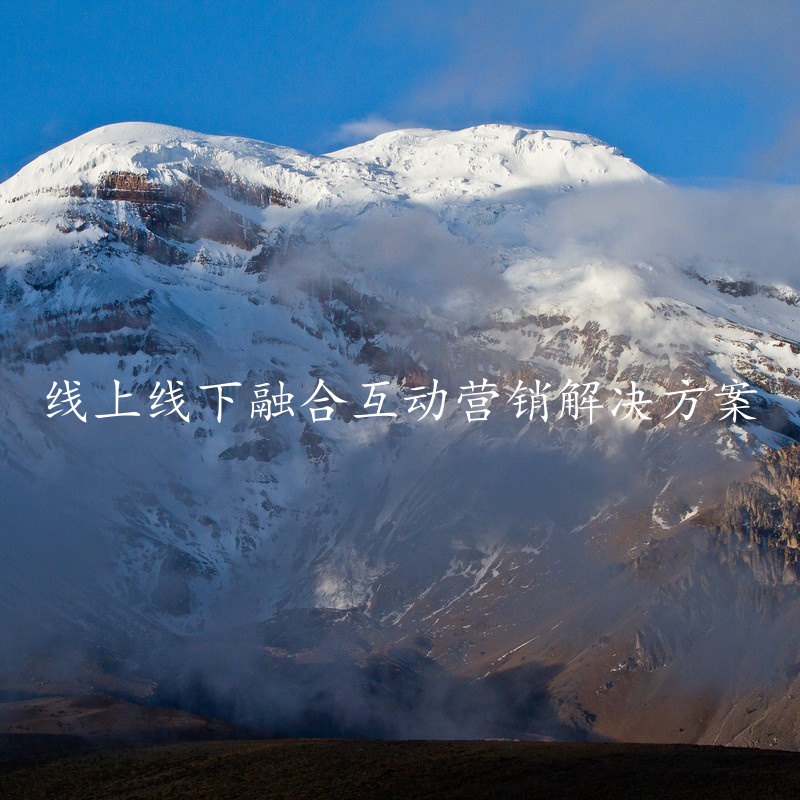 线上线下融合互动营销解决方案
