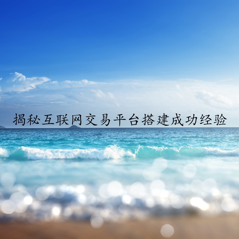 揭秘互联网交易平台搭建成功经验