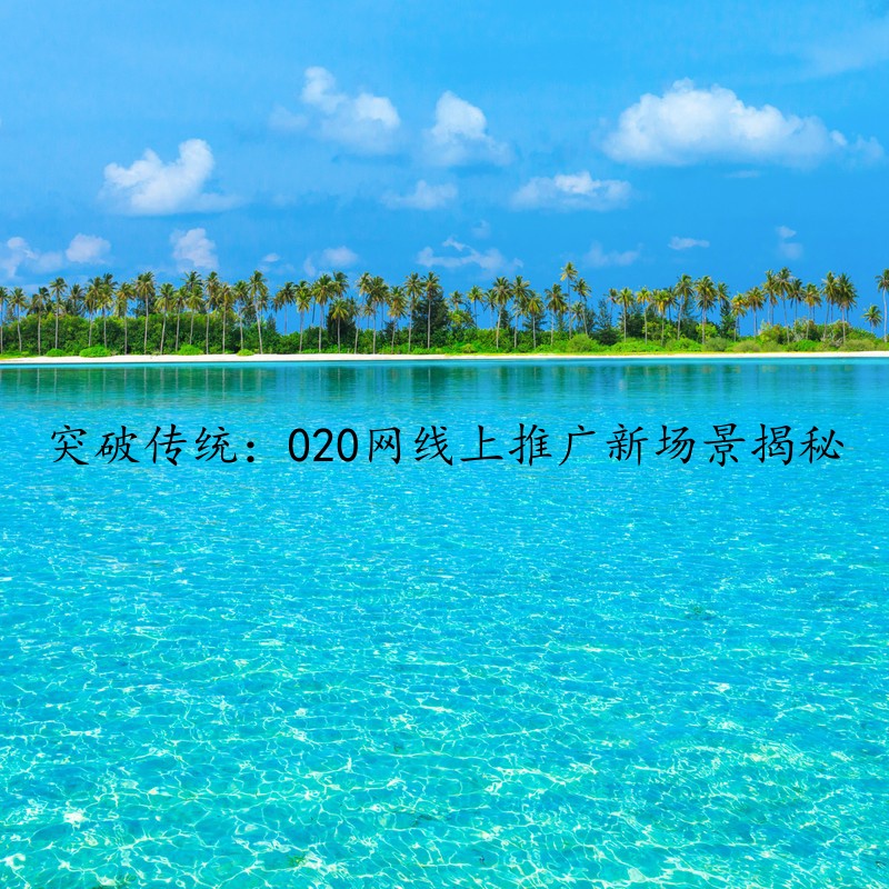 突破传统：020网线上推广新场景揭秘