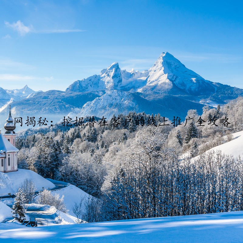 网揭秘：挖掘潜在客户的线上推广全攻略