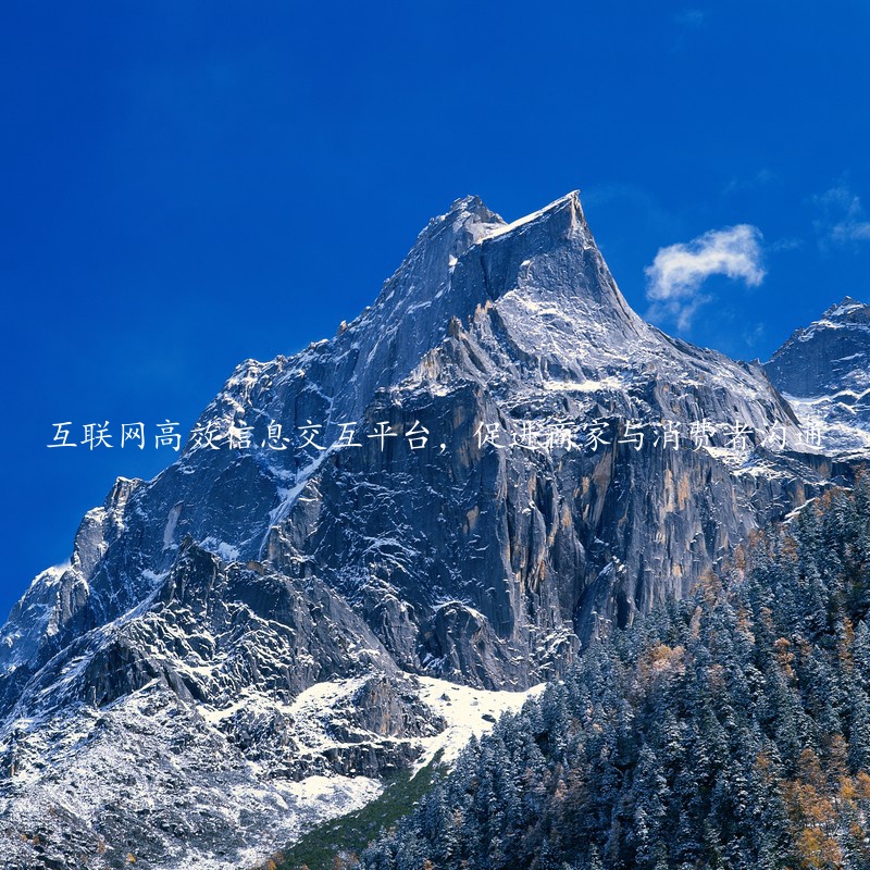 互联网高效信息交互平台，促进商家与消费者沟通