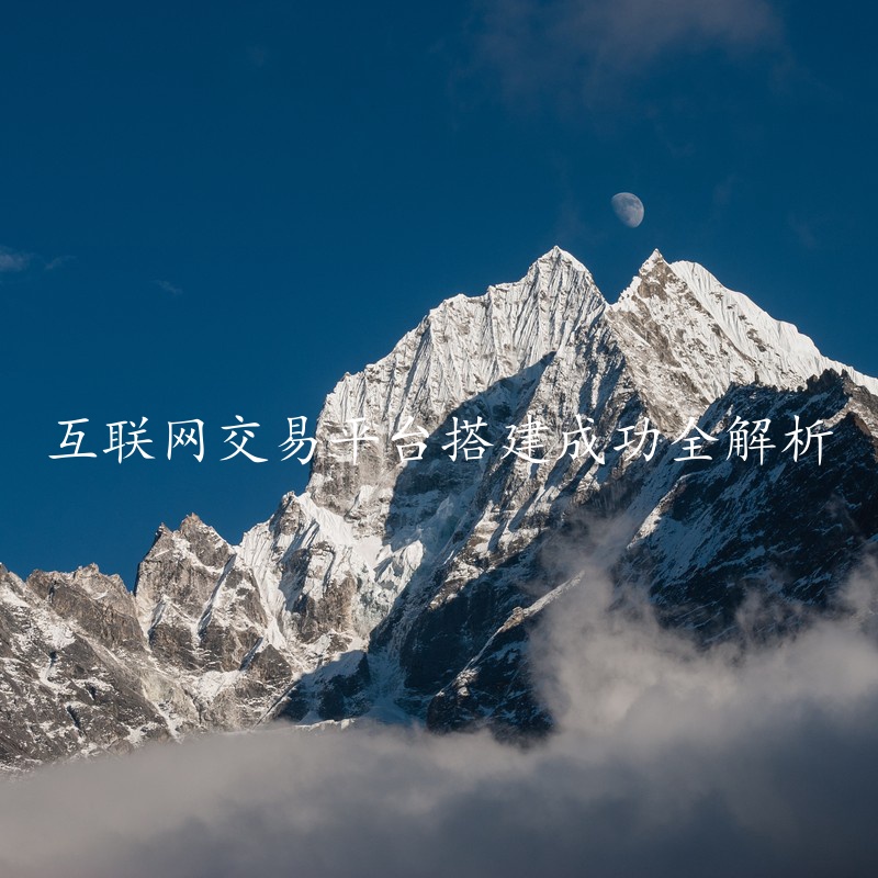 互联网交易平台搭建成功全解析