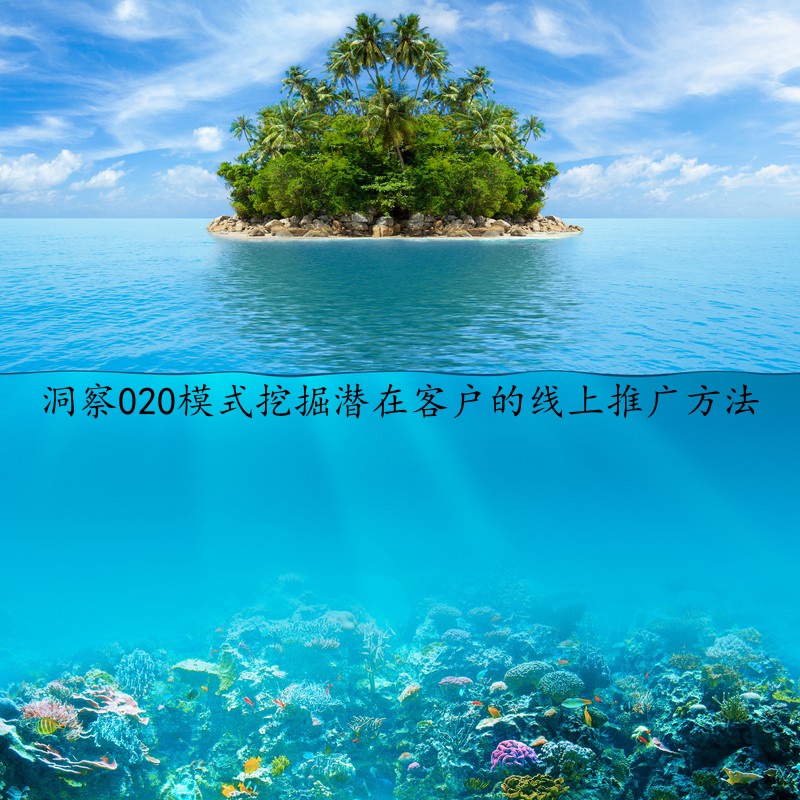 洞察020模式挖掘潜在客户的线上推广方法