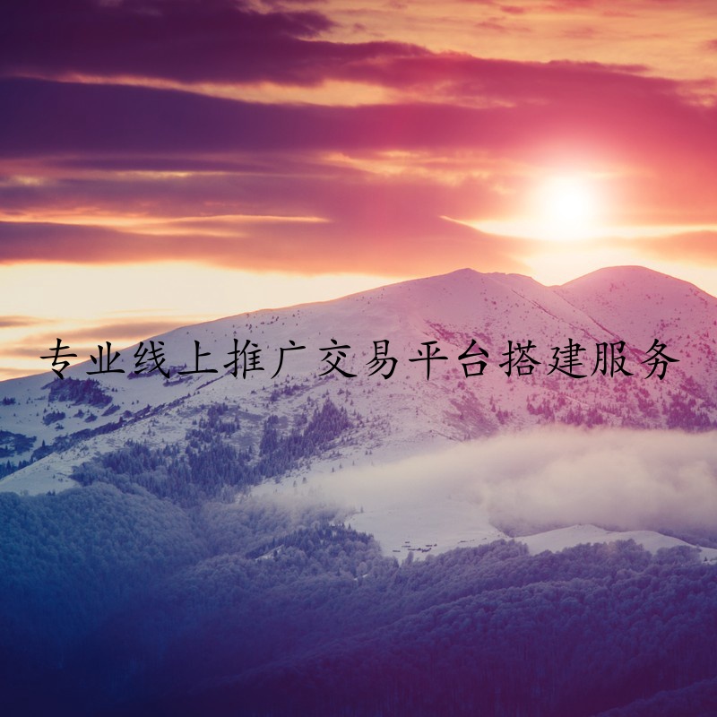 专业线上推广交易平台搭建服务