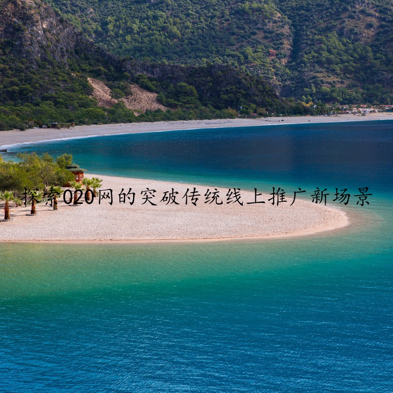 探索020网的突破传统线上推广新场景