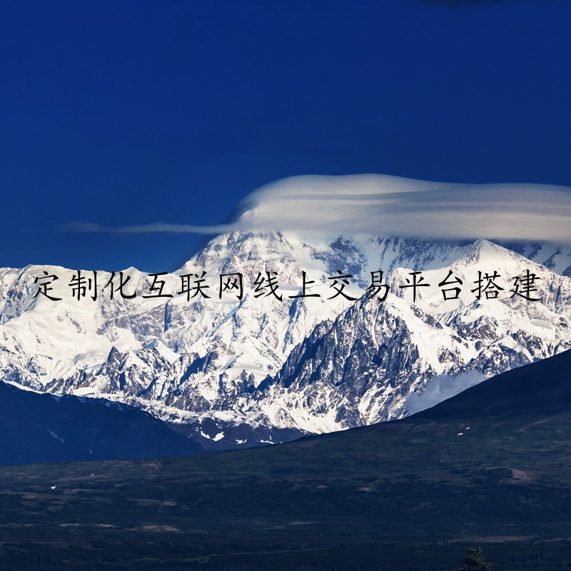 定制化互联网线上交易平台搭建