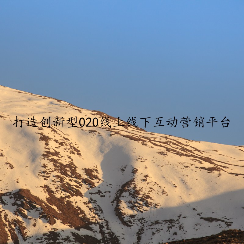 打造创新型020线上线下互动营销平台