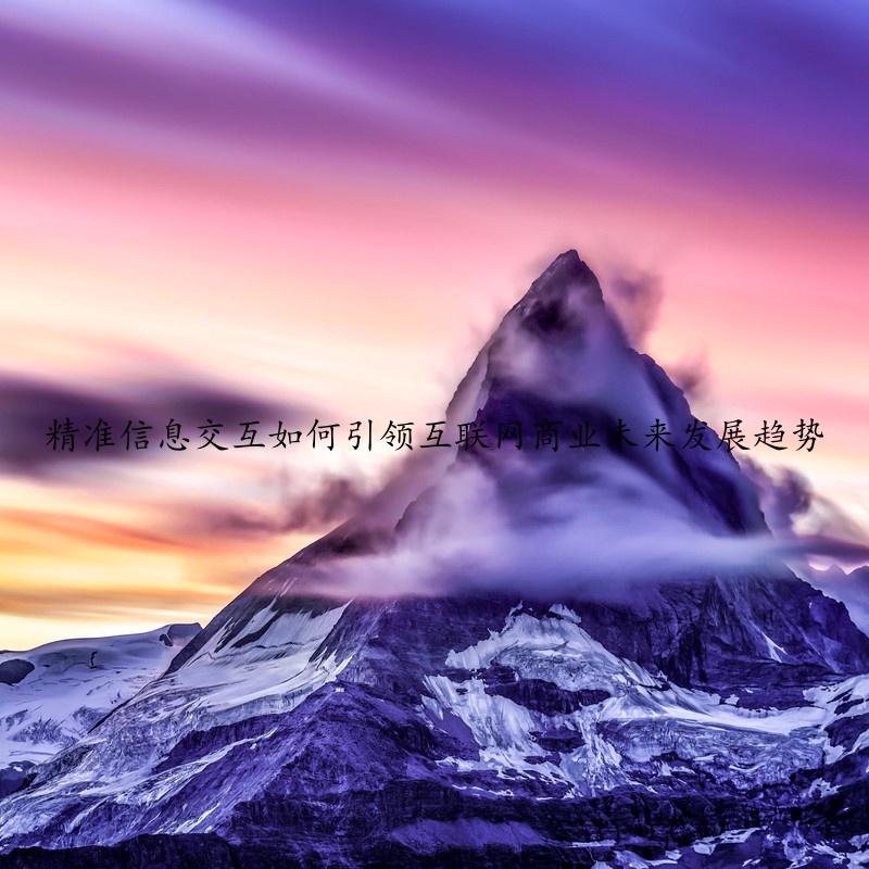 精准信息交互如何引领互联网商业未来发展趋势