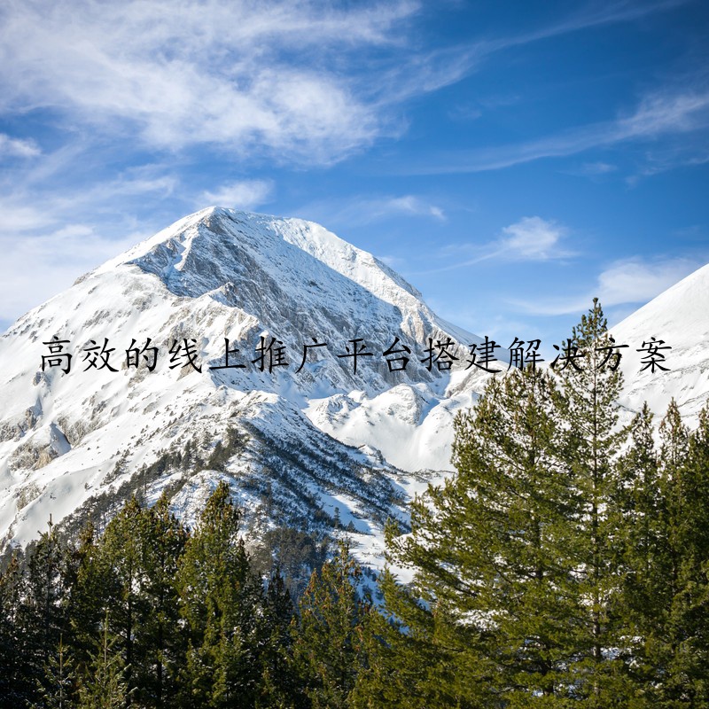高效的线上推广平台搭建解决方案