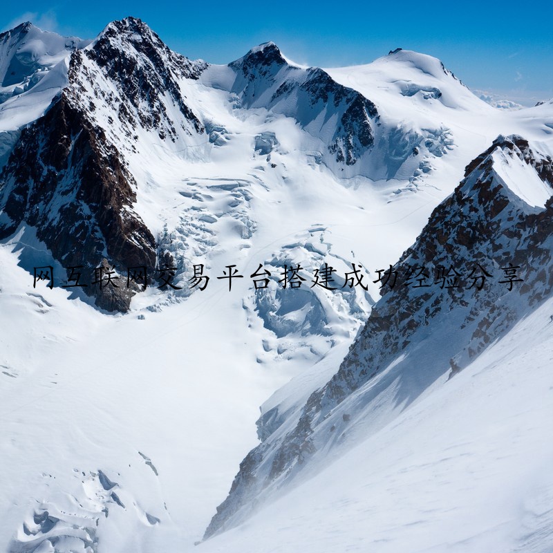 网互联网交易平台搭建成功经验分享