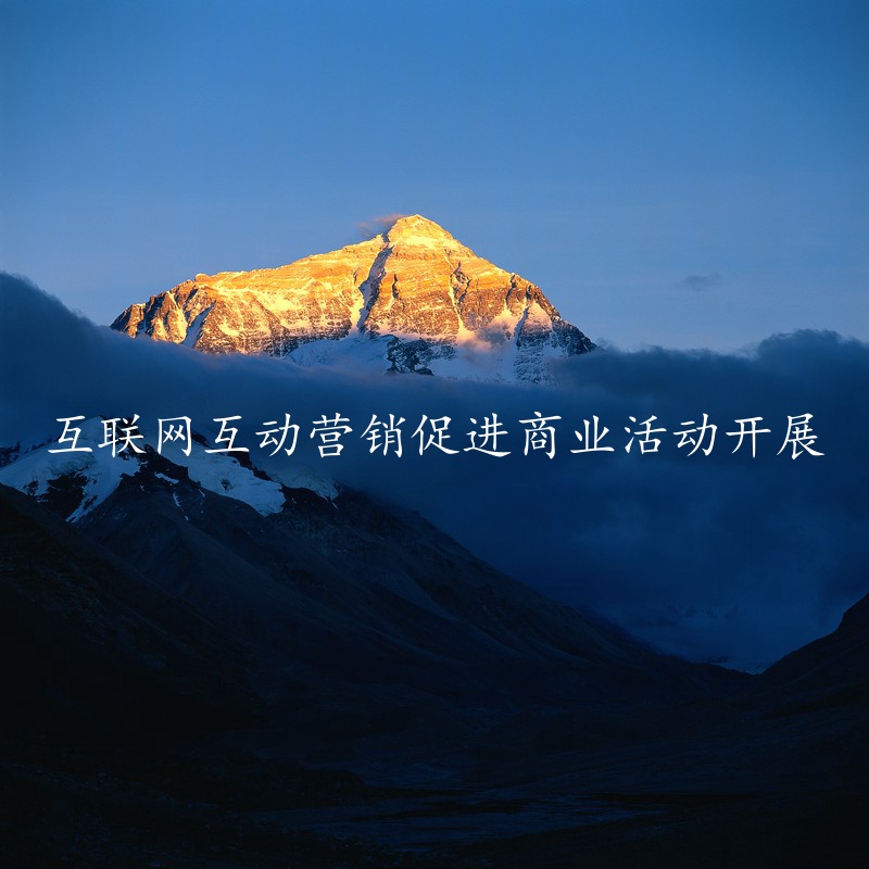 互联网互动营销促进商业活动开展