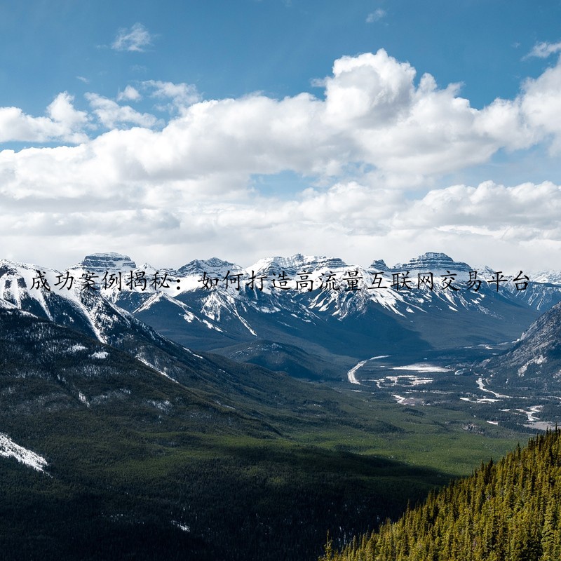成功案例揭秘：如何打造高流量互联网交易平台