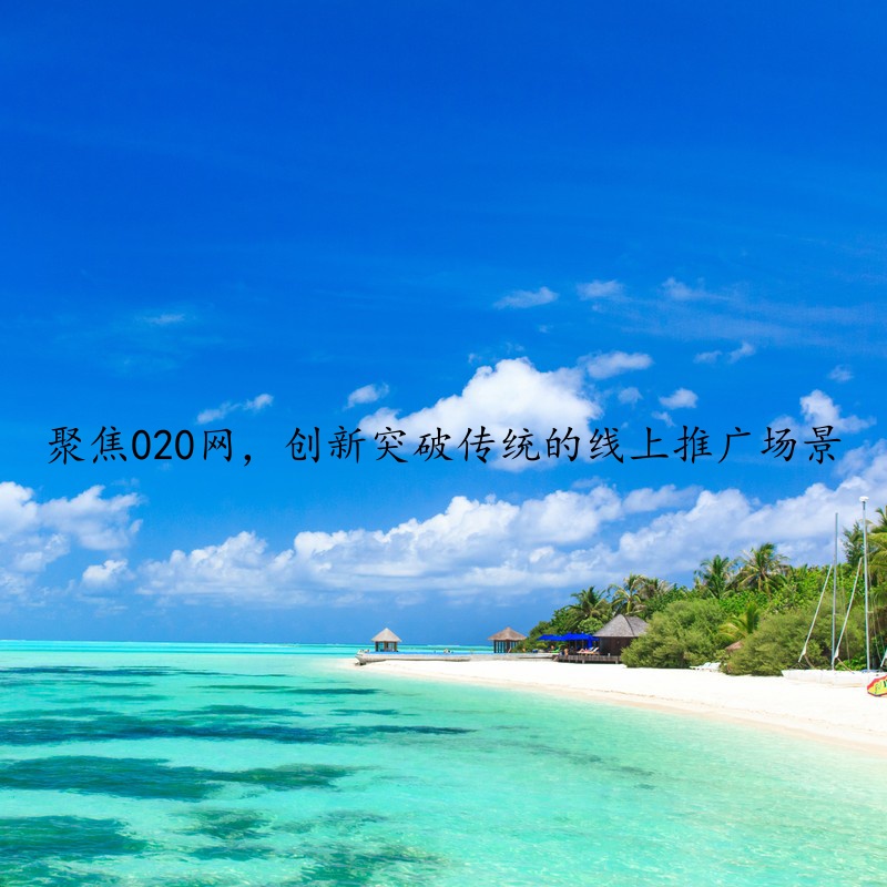 聚焦020网，创新突破传统的线上推广场景
