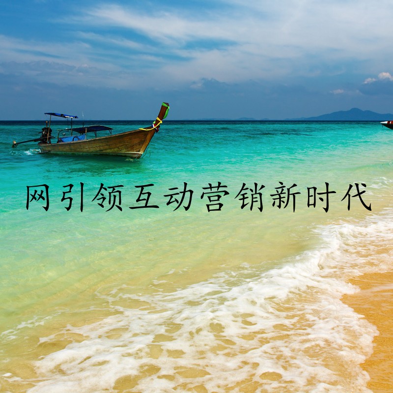 网引领互动营销新时代