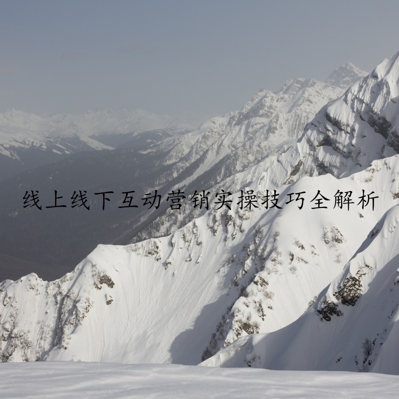 线上线下互动营销实操技巧全解析