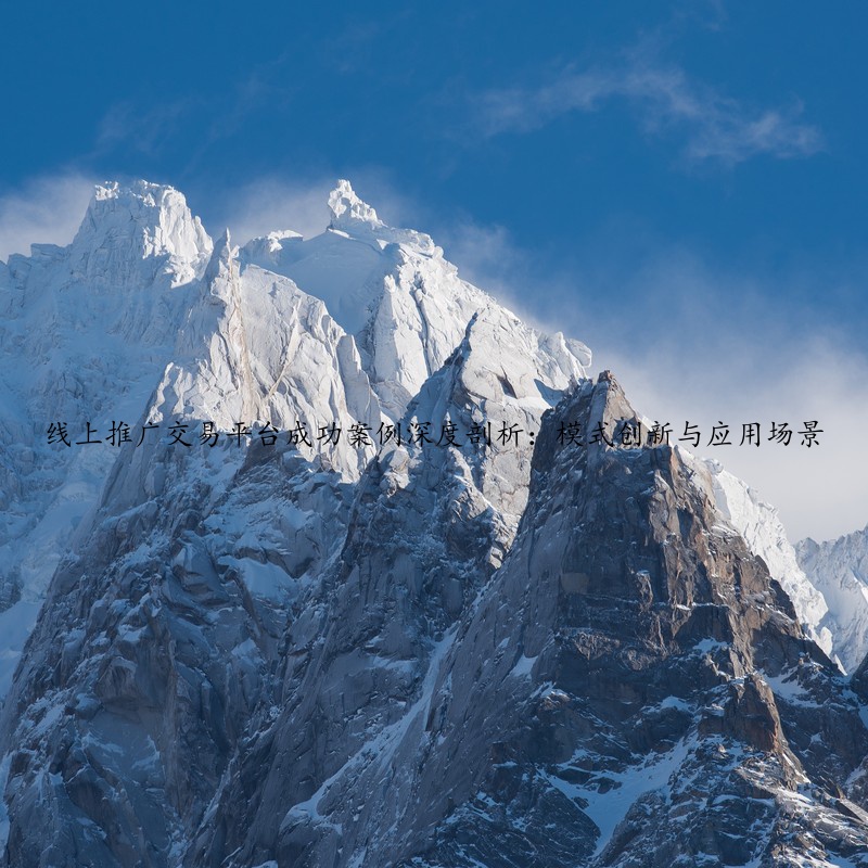 线上推广交易平台成功案例深度剖析：模式创新与应用场景