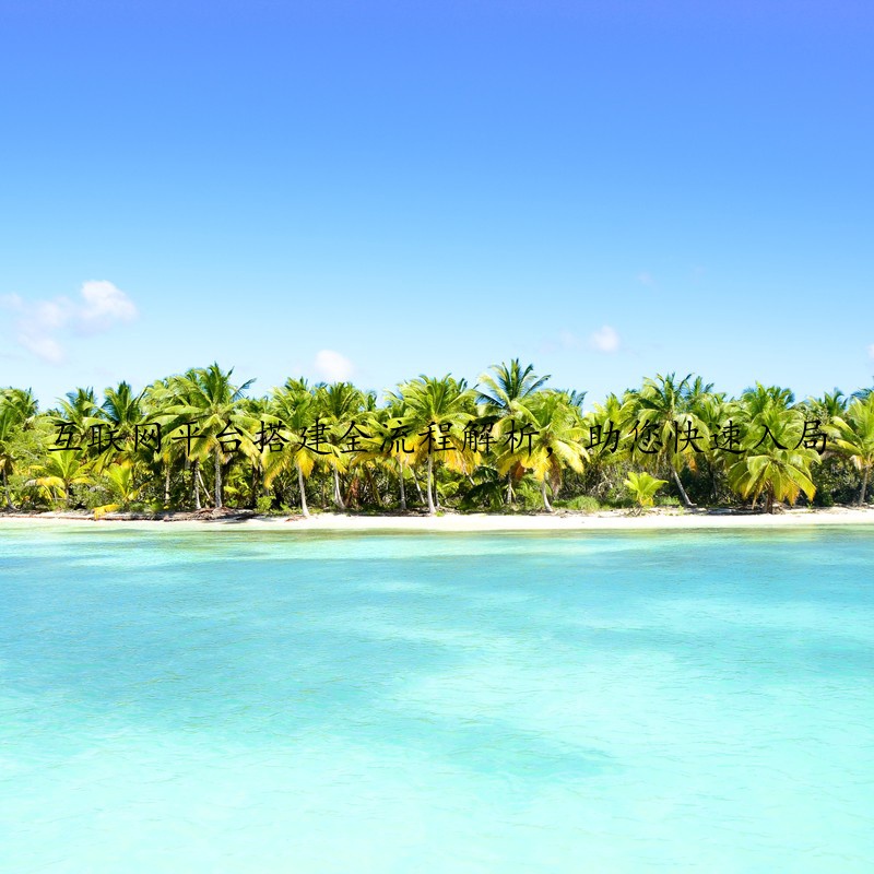 互联网平台搭建全流程解析，助您快速入局