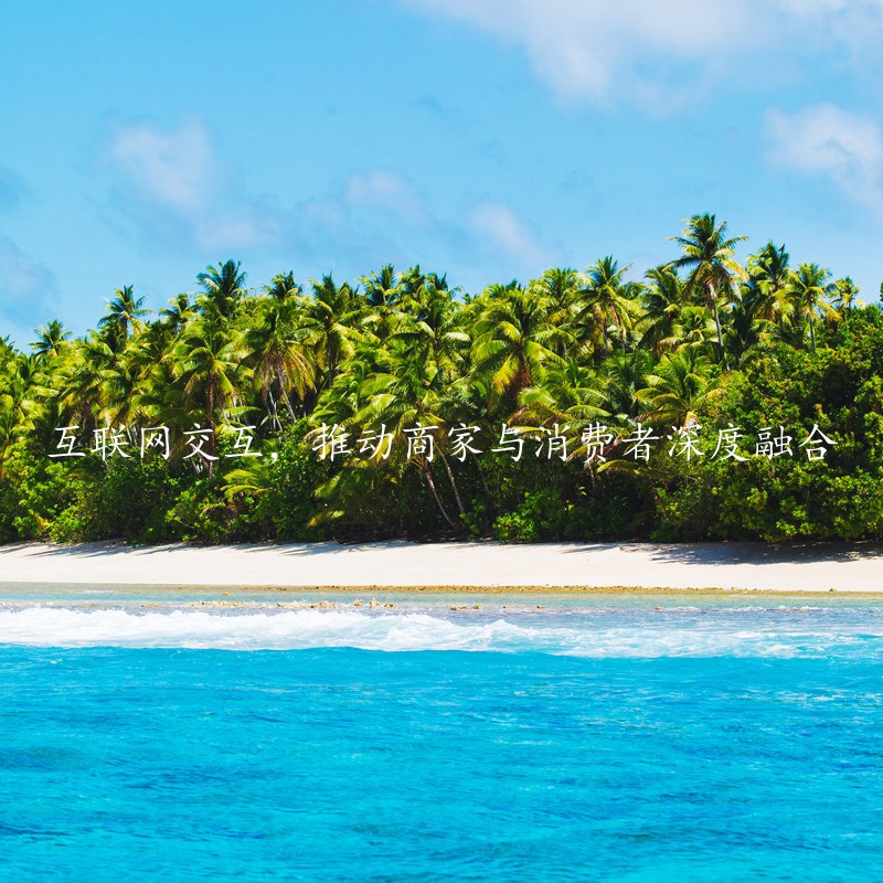 互联网交互，推动商家与消费者深度融合