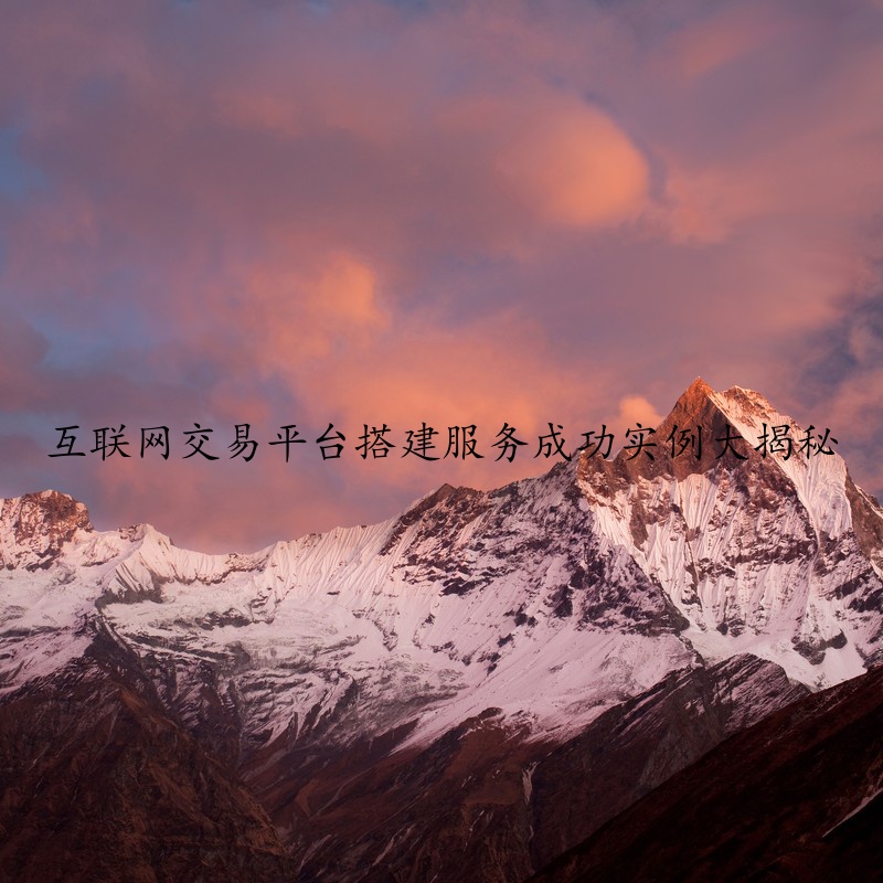 互联网交易平台搭建服务成功实例大揭秘